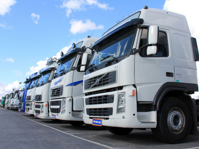 ���Ր۵�ɭ��������˾